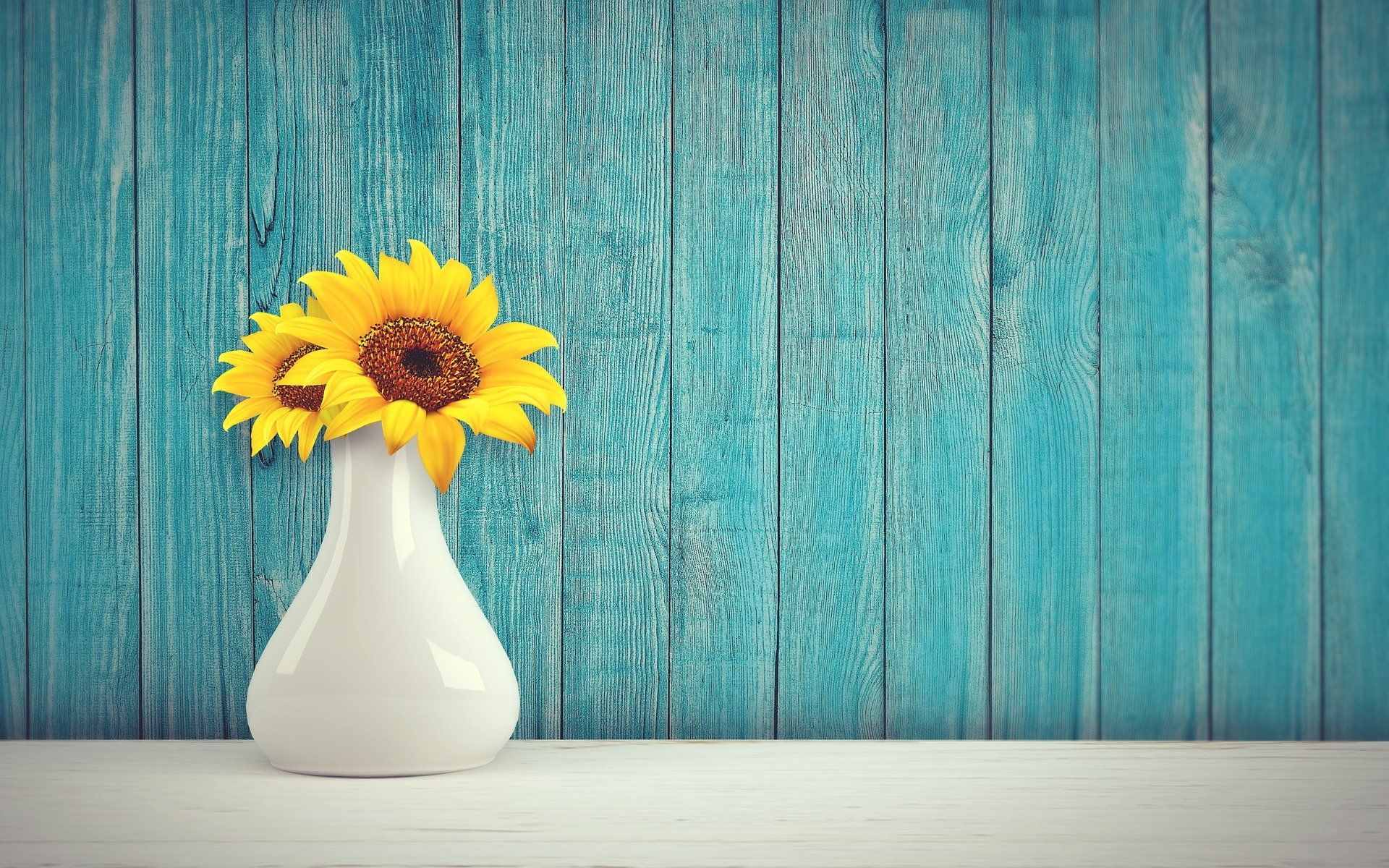 Sonnenblume in einer Vase auf einem Tisch, im Hintergrund eine blaue Holzwand