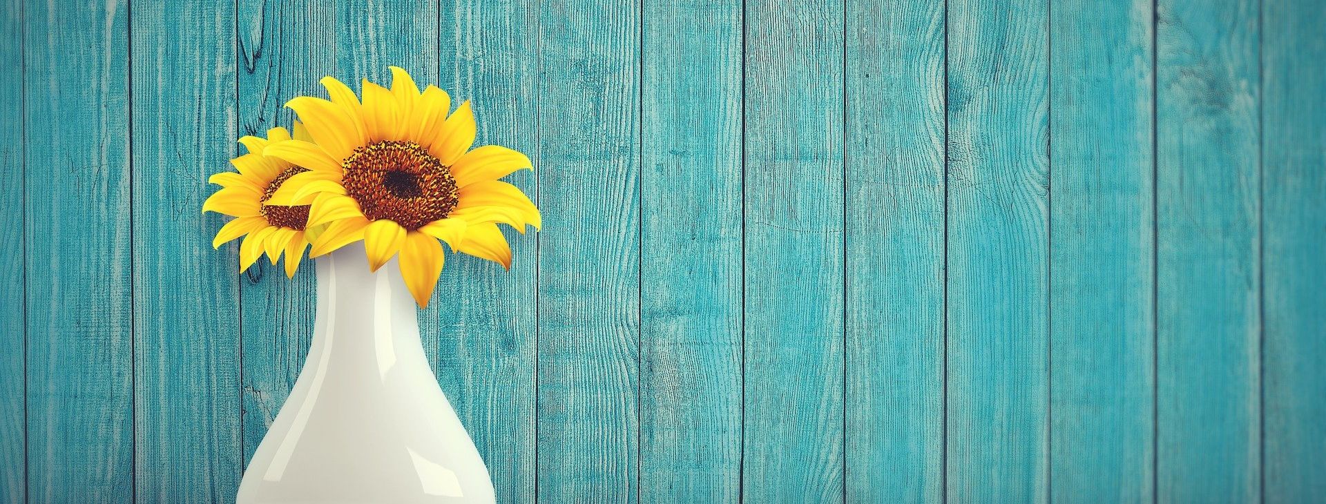 Sonnenblume in einer Vase auf einem Tisch, im Hintergrund eine blaue Holzwand